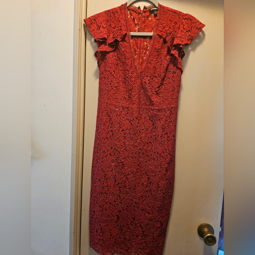Express Lace Pencil Dress